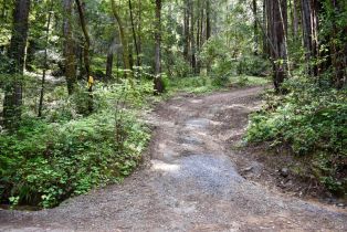 Residential Lot,  Old Monte Rio road, Russian River, CA 95446 - 2