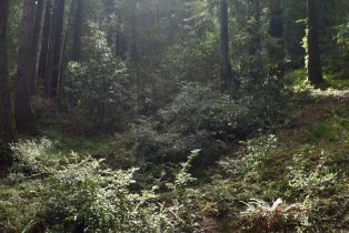 Residential Lot,  Old Monte Rio road, Russian River, CA 95446 - 29