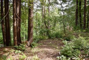 Residential Lot,  Old Monte Rio road, Russian River, CA 95446 - 21