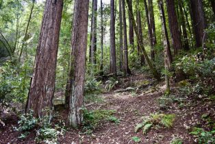 Residential Lot,  Old Monte Rio road, Russian River, CA 95446 - 13