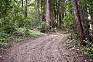 Residential Lot,  Old Monte Rio road, Russian River, CA 95446 - 11