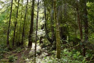 Residential Lot,  Old Monte Rio road, Russian River, CA 95446 - 15