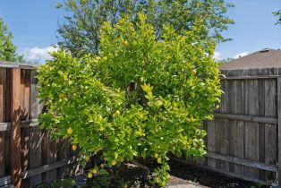 Condominium,  5th street, Sonoma, CA 95476 - 35