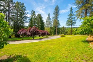 Single Family Residence,  Yule Tree lane, Sebastopol, CA 95472 - 5