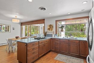 Single Family Residence,  Yule Tree lane, Sebastopol, CA 95472 - 17
