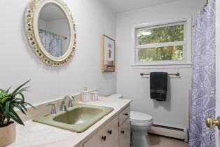 Single Family Residence,  Yule Tree lane, Sebastopol, CA 95472 - 33