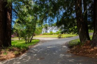 Single Family Residence, 8099 Yule Tree Ln, Sebastopol, CA  Sebastopol, CA 95472