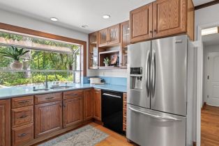 Single Family Residence,  Yule Tree lane, Sebastopol, CA 95472 - 19