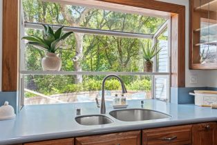 Single Family Residence,  Yule Tree lane, Sebastopol, CA 95472 - 22