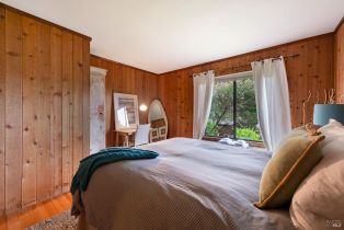Single Family Residence, Highway 1 none, Jenner, CA 95450 - 21