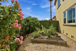 Single Family Residence, Park Gardens drive, Santa Rosa, CA 95404 - 31