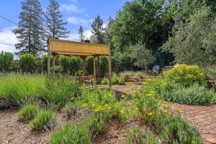 Single Family Residence, Fitch Mountain road, Healdsburg, CA 95448 - 37