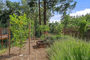 Single Family Residence, Fitch Mountain road, Healdsburg, CA 95448 - 38