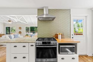 Single Family Residence, Fitch Mountain road, Healdsburg, CA 95448 - 15
