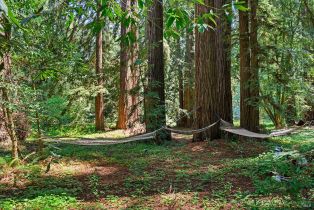 Single Family Residence,  Jonive road, Sebastopol, CA 95472 - 46
