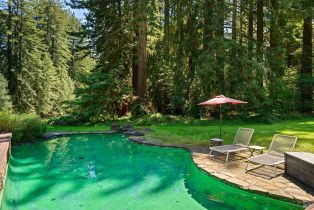 Single Family Residence,  Jonive road, Sebastopol, CA 95472 - 49