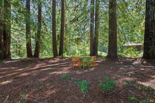Single Family Residence,  Jonive road, Sebastopol, CA 95472 - 45