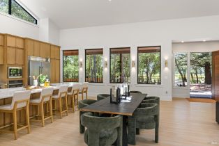 Single Family Residence,  Shady Acres lane, Santa Rosa, CA 95409 - 19