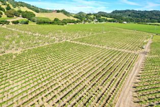 Agriculture,  Pleasant avenue, Santa Rosa, CA 95403 - 35