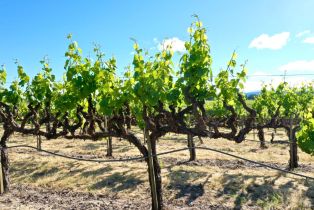 Agriculture,  Pleasant avenue, Santa Rosa, CA 95403 - 10