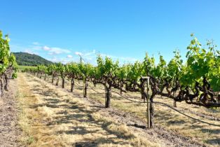 Agriculture,  Pleasant avenue, Santa Rosa, CA 95403 - 15