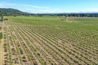 Agriculture,  Pleasant avenue, Santa Rosa, CA 95403 - 33