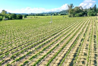 Agriculture,  Pleasant avenue, Santa Rosa, CA 95403 - 37