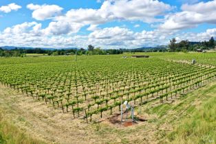 Agriculture,  Pleasant avenue, Santa Rosa, CA 95403 - 13
