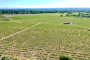 Agriculture,  Pleasant avenue, Santa Rosa, CA 95403 - 31