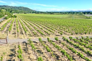 Agriculture,  Pleasant avenue, Santa Rosa, CA 95403 - 32
