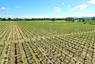 Agriculture,  Pleasant avenue, Santa Rosa, CA 95403 - 18