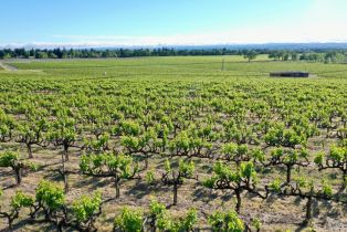 Agriculture,  Pleasant avenue, Santa Rosa, CA 95403 - 34