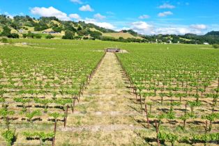 Agriculture,  Pleasant avenue, Santa Rosa, CA 95403 - 19