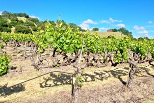 Agriculture,  Pleasant avenue, Santa Rosa, CA 95403 - 26