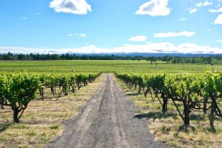 Agriculture,  Pleasant avenue, Santa Rosa, CA 95403 - 27