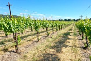 Agriculture,  Pleasant avenue, Santa Rosa, CA 95403 - 24