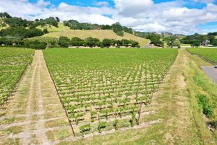 Agriculture,  Pleasant avenue, Santa Rosa, CA 95403 - 14