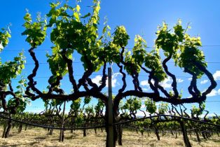 Agriculture,  Pleasant avenue, Santa Rosa, CA 95403 - 38