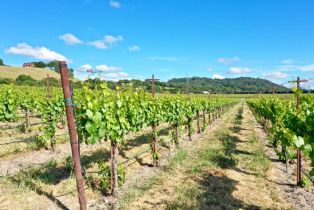 Agriculture,  Pleasant avenue, Santa Rosa, CA 95403 - 25