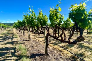 Agriculture,  Pleasant avenue, Santa Rosa, CA 95403 - 39
