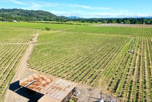 Agriculture,  Pleasant avenue, Santa Rosa, CA 95403 - 36