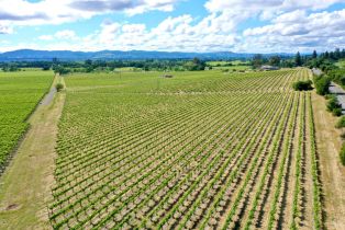 Agriculture,  Pleasant avenue, Santa Rosa, CA 95403 - 16