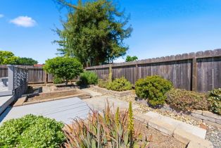Single Family Residence,  Shetler avenue, Napa, CA 94559 - 31