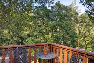 Single Family Residence,  Austin Creek road, Russian River, CA 95421 - 3