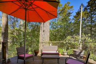 Single Family Residence,  Austin Creek road, Russian River, CA 95421 - 18