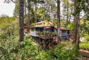 Single Family Residence, Austin Creek road, Russian River, CA 95421 - 19