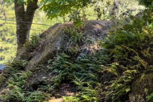 Single Family Residence,  Austin Creek road, Russian River, CA 95421 - 20