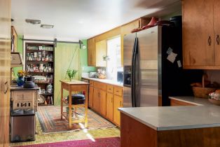 Single Family Residence,  Austin Creek road, Russian River, CA 95421 - 6
