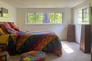 Single Family Residence,  Austin Creek road, Russian River, CA 95421 - 12