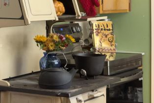 Single Family Residence, Austin Creek road, Russian River, CA 95421 - 7